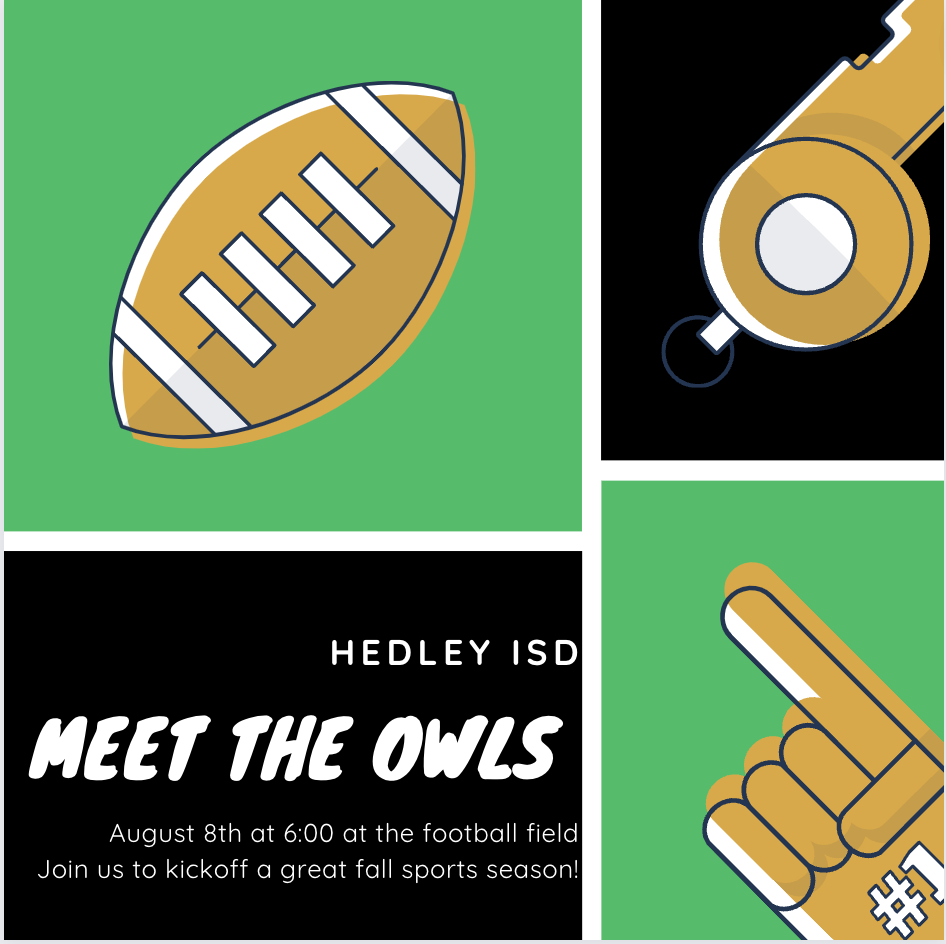 Meet the Owls 2023